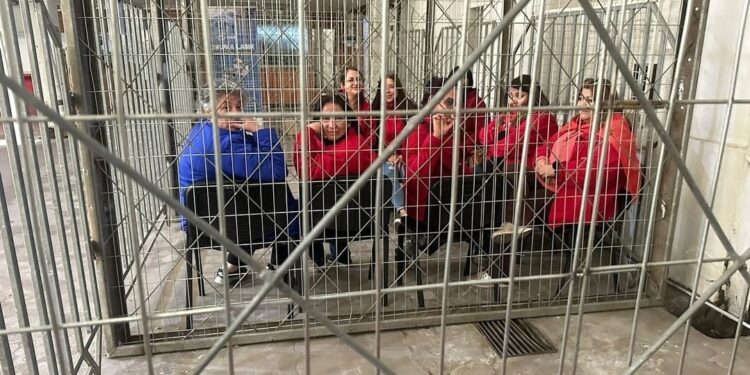 Paro de salud en el Biobío, detenciones y represión del gobierno de Boric.