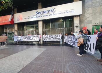 ANTE LA PRECARIEDAD LABORAL Y LA VIOLENCIA INSTITUCIONAL TRABAJADORAS DE DISPOSITIVOS SERNAMEG A LUCHAR ! (COMUNICADO PÚBLICO)