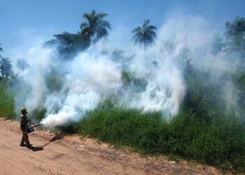 Dengue, modelo agrario y cambio climático
