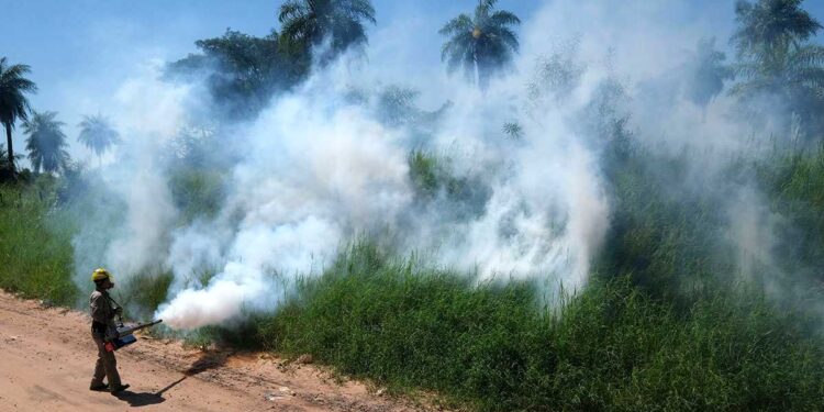 Dengue, modelo agrario y cambio climático