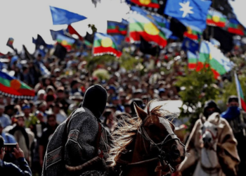 Comunicado Público WAM frente al asesinato de 3 carabineros