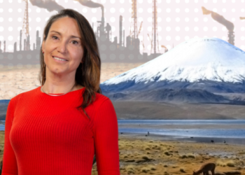Paulina Aldunce, integrante del IPCC: “Ya perdimos. No le doy más de 10 años para superar el 1,5 °C”
