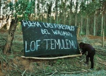 |VIDEO| Nación Mapuche. Temuko: visita masiva en apoyo al werken Rafael Pichun, del Lof Temulemu