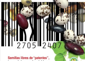 El Gobierno resuelve remplazar semillas tradicionales por transgénicas, ¿fin de la alimentación sana?