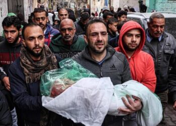 Palestina. Informe: Muertos o heridos, familiares de 80% de habitantes de Gaza
