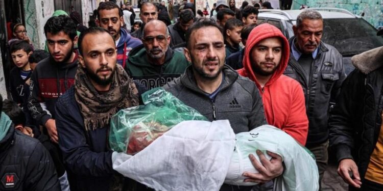 Palestina. Informe: Muertos o heridos, familiares de 80% de habitantes de Gaza