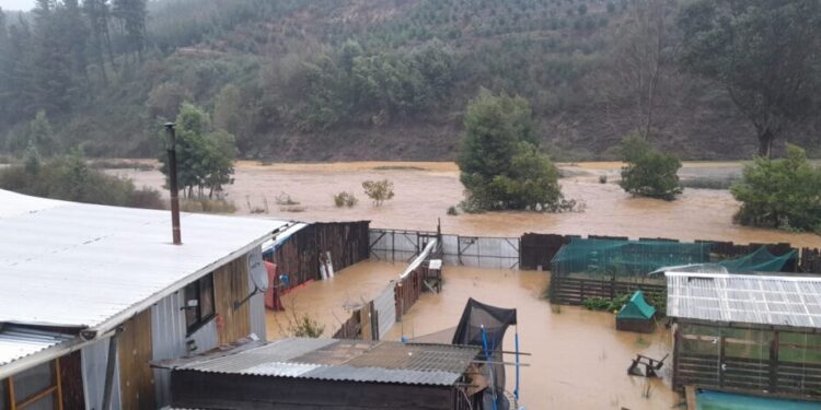 Curanilahue: «Por el temporal, las viviendas que levantamos en la toma ya están cubiertas por más de un metro de agua»