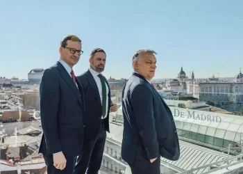 Brutalismo supremacista libertariano