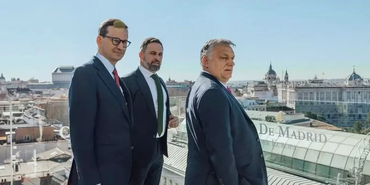 Brutalismo supremacista libertariano