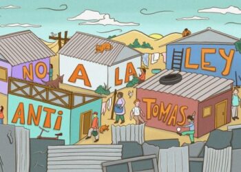 Ley antitomas viola DDHH y sólo beneficia a dueños del suelo