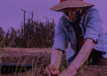 La cuenta regresiva ha comenzado: ¿qué haremos ante la crisis ambiental y climática?