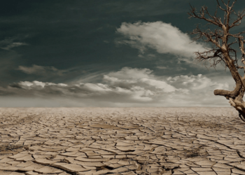Responsabilidad de la industria militar y la guerra en la destrucción del ambiente