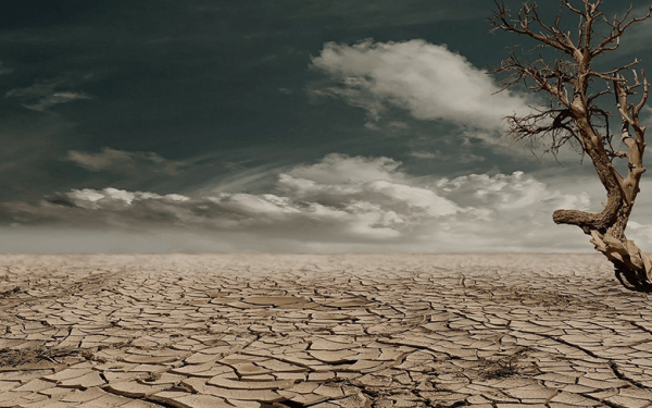 Responsabilidad de la industria militar y la guerra en la destrucción del ambiente