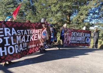 Nación Mapuche. Wallmapu. Mapuche se manifestaron contra el Proyecto Statkraft y la represión policial