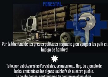 Nación Mapuche. Ruta Imperial. Carahue- Sabotaje a camión forestal, ORT (Organos de Resistencia Territorial) Lafkenche Leftraru