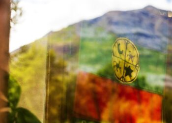 Nación Mapuche. Denuncian operativo ilegal en Lof Pailako Futalaufquen Mew