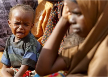 Las economías «obesas» multiplican la pobreza. Revelador informe de la ONU: el mito del crecimiento para todos