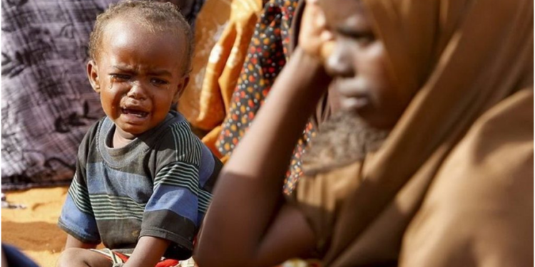 Las economías «obesas» multiplican la pobreza. Revelador informe de la ONU: el mito del crecimiento para todos