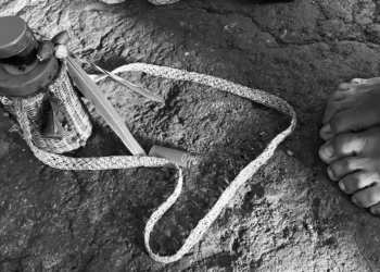 Ecología Social. Vivir Bien para reconciliarnos con la Madre Tierra y florecer por fuera del capitalismo