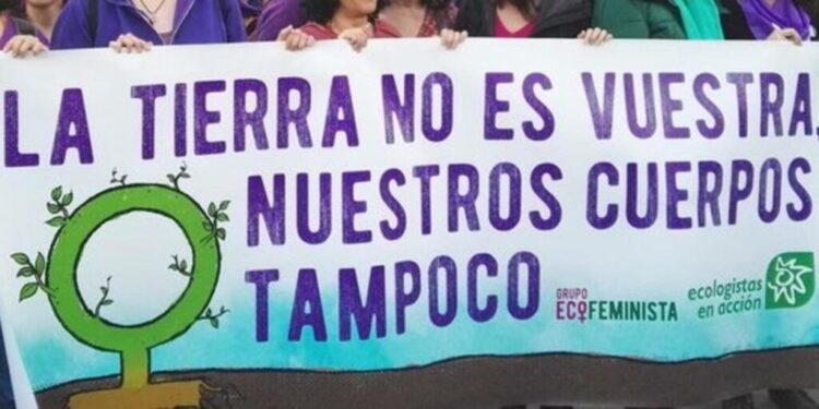 La perspectiva ecofeminista en un nuevo horizonte ecosocial