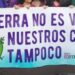 La perspectiva ecofeminista en un nuevo horizonte ecosocial