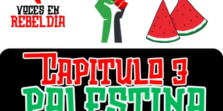 Voces en Rebeldía: Capítulo 3. Palestina