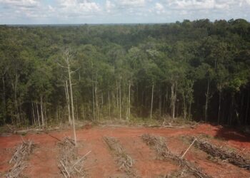 El neocolonialismo en América Latina: reinicio