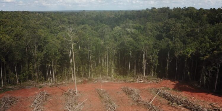 El neocolonialismo en América Latina: reinicio