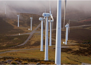 (in)sostenibilidad. El último árbol del planeta