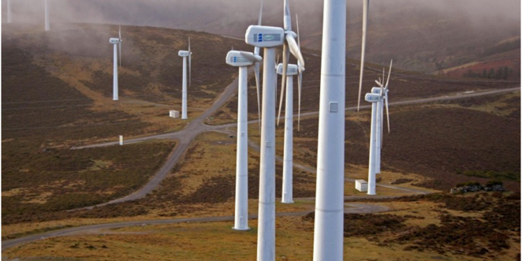 (in)sostenibilidad. El último árbol del planeta