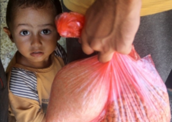 Palestina. En Gaza sobreviven con apenas una comida cada dos días / ‘Mundo islámico, por su inmenso peso, puede detener guerra en Gaza’ (+video)