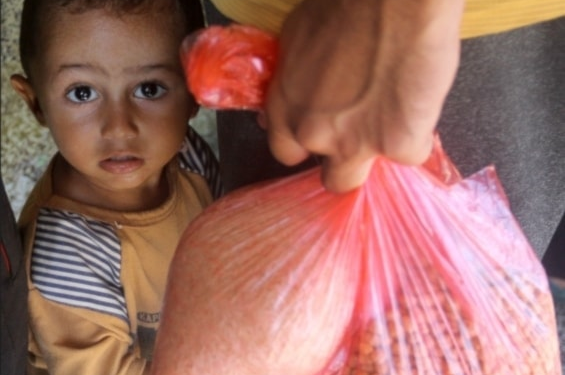 Palestina. En Gaza sobreviven con apenas una comida cada dos días / ‘Mundo islámico, por su inmenso peso, puede detener guerra en Gaza’ (+video)