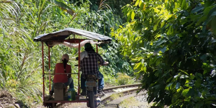 Una salida campesina a la crisis ambiental