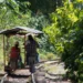 Una salida campesina a la crisis ambiental