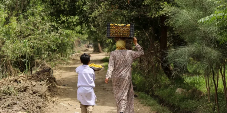 Marxismo, tierra y clase obrera