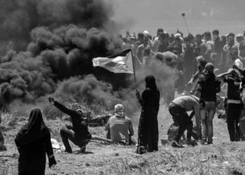 La izquierda desarmada