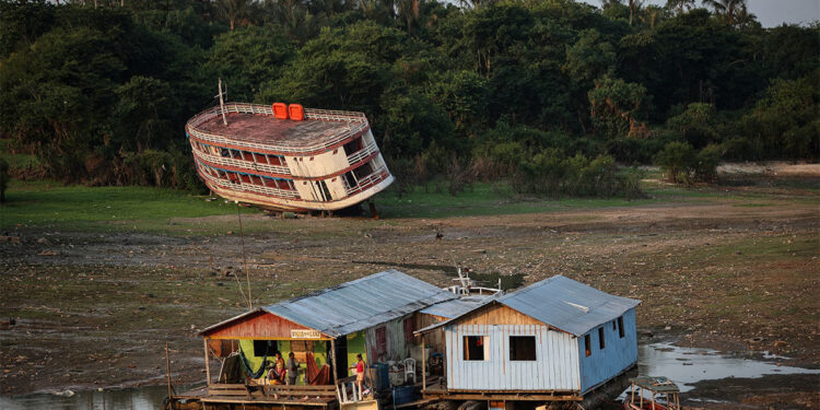 Ecología Social. Se seca el río Amazonas, una grave advertencia sobre el cambio climático