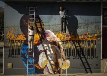 Ecología Social. Todos los fuegos, el fuego de un sistema de negocios