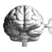 Guerra cognitiva y control de la información.