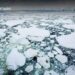 Experto en ciencia antártica: “La disminución del hielo marino es altamente compleja”