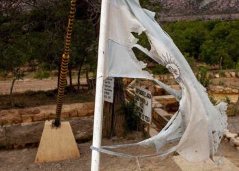 Ecología Social. Democracia, derechos humanos y colonialismo: contradicciones fundacionales y territorios para la vida