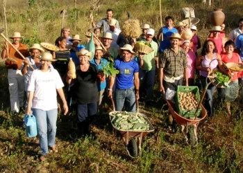 ¿Cómo evitar que nos “coman la cabeza”?: Sobre la integración de la agricultura familiar y los territorios indígenas a las cadenas de commodities
