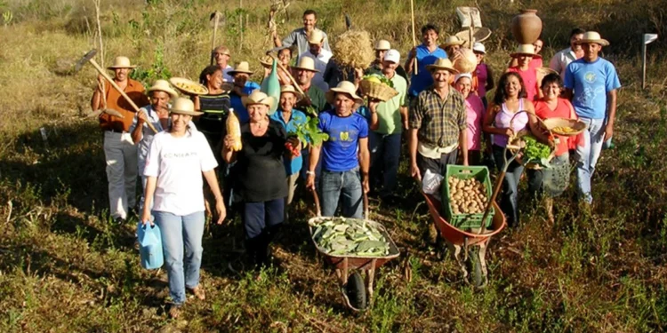 ¿Cómo evitar que nos “coman la cabeza”?: Sobre la integración de la agricultura familiar y los territorios indígenas a las cadenas de commodities