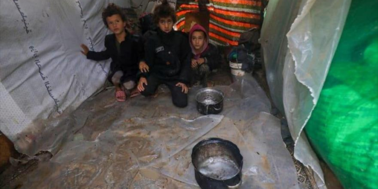 Palestina. UNICEF: Unos 50 000 menores en Gaza sufren de desnutrición aguda / Genocidio continúa : Decenas de mártires y continuos bombardeos a edificios residenciales en el norte
