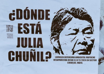 Nación Mapuche. La desaparición de Julia Chuñil en medio de una trama oculta de CONADI y empresario forestal