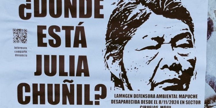 Nación Mapuche. La desaparición de Julia Chuñil en medio de una trama oculta de CONADI y empresario forestal