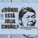 Nación Mapuche. La desaparición de Julia Chuñil en medio de una trama oculta de CONADI y empresario forestal