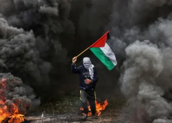 La antorcha de la lucha anticolonial, de Vietnam y Argelia a Palestina