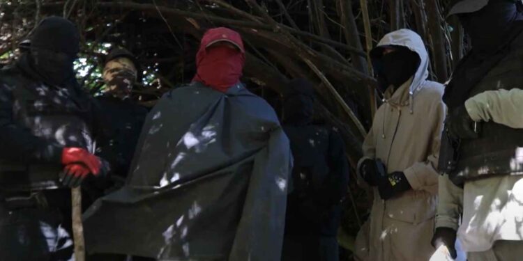 Comunicado de Weichan Auka Mapu repasa trayectoria reciente de su movimiento autonomista mapuche