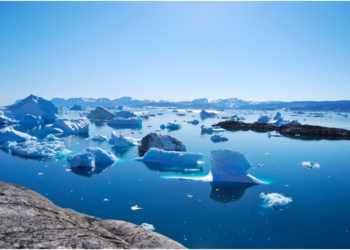 El país es rico en tierras raras que son clave debido al cambio climático. ¿Por qué Trump quiere controlar Groenlandia?